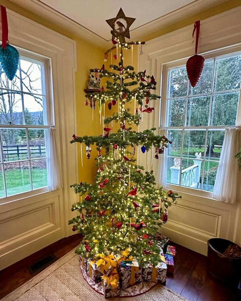 Maintain Your Tree Throughout Multiple Weeks