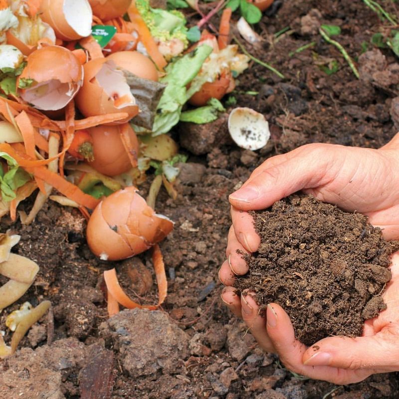 Deodorize Compost Piles For Lawn Amendments