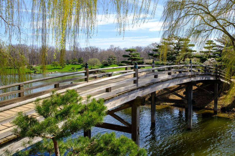 Photography Workshops Help Capture Winter's Unique Beauty