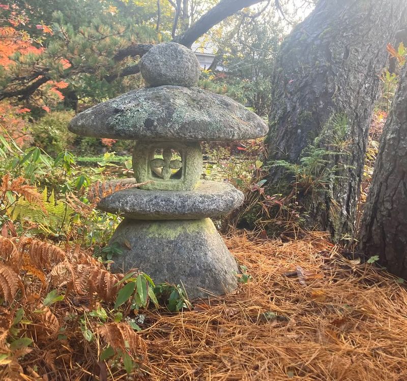 Photogenic Scenes Create Lasting Memories