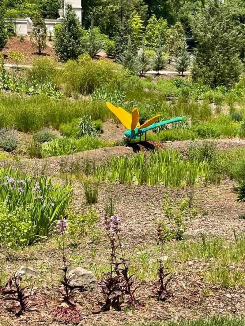 Affordable Pricing Makes Magic Accessible To Everyone