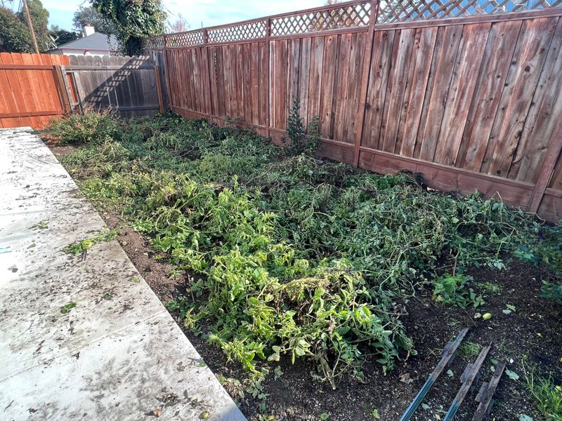 Last Year's Crops Depleted Soil Reserves