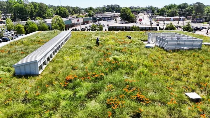 Managing Stormwater Runoff Naturally