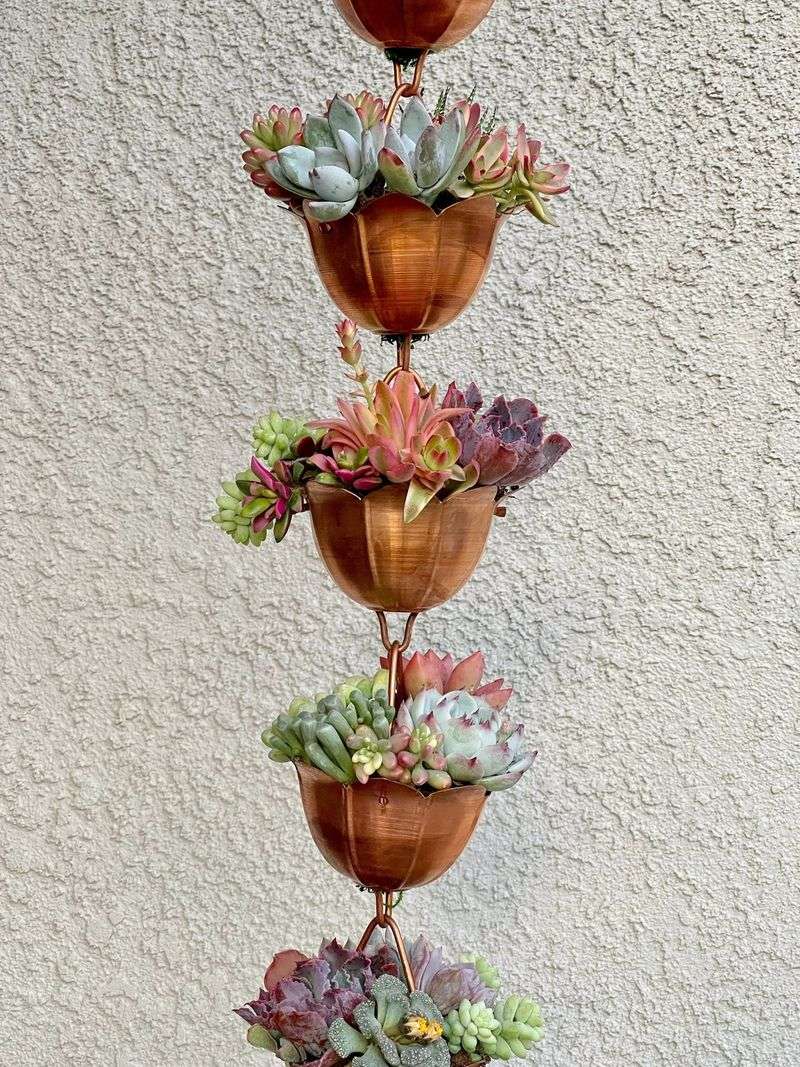 Hanging Garden Integration With Succulents