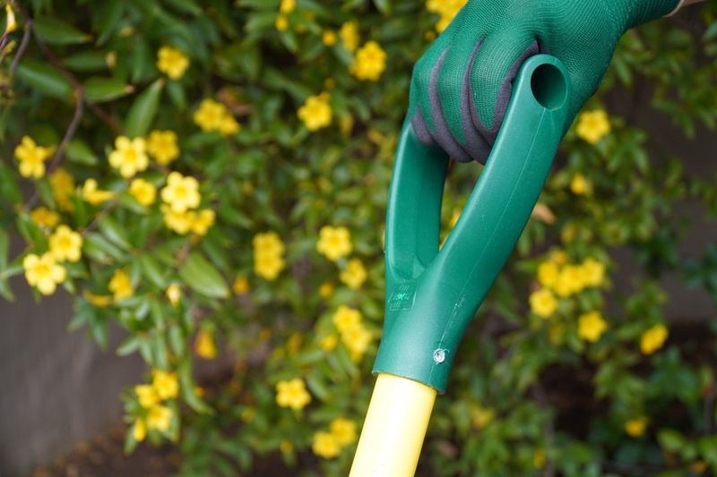 Ergonomic Garden Spade With Footrest
