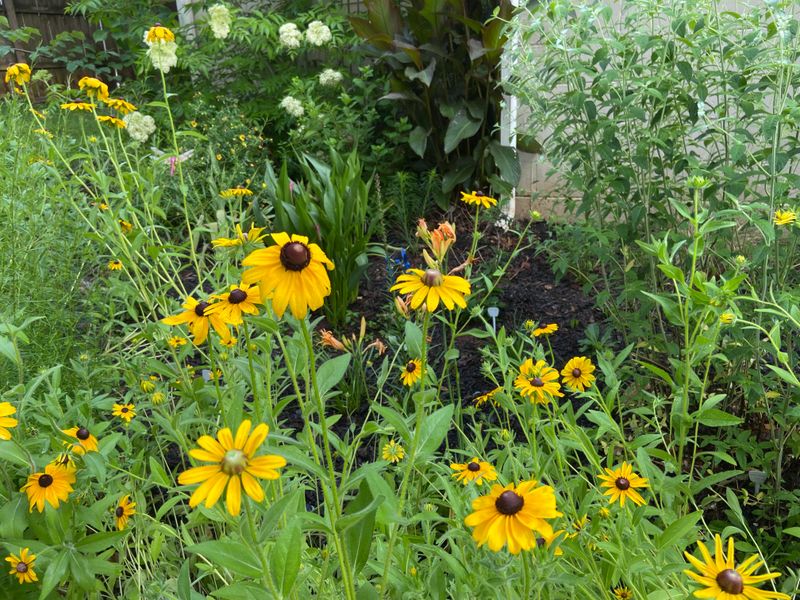 Educational Opportunities For Families