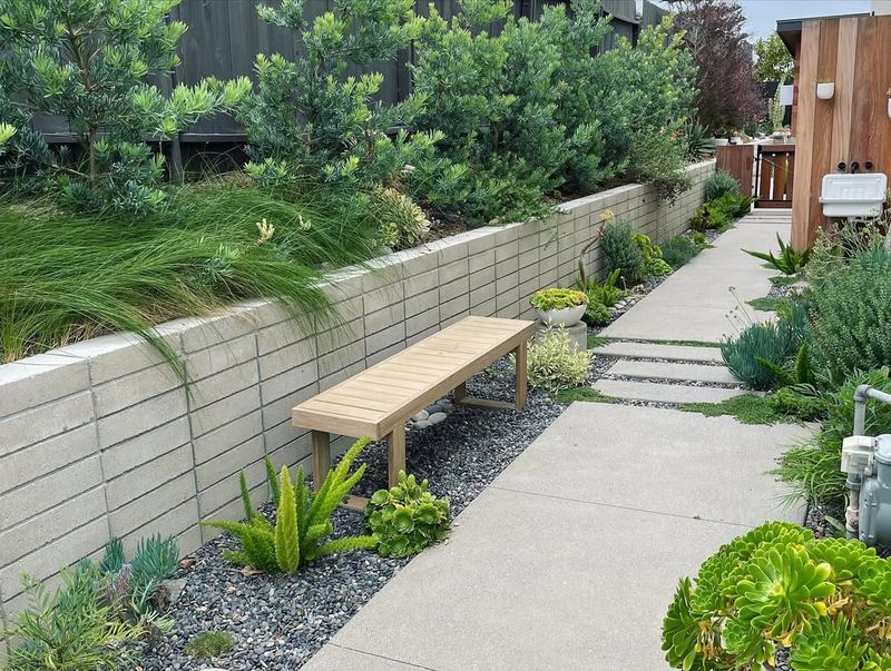 Rain Gardens and Bioswales