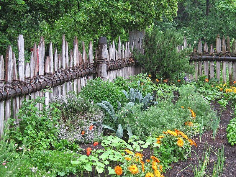 Nostalgic Beauty Provides Comfort In Modern Times