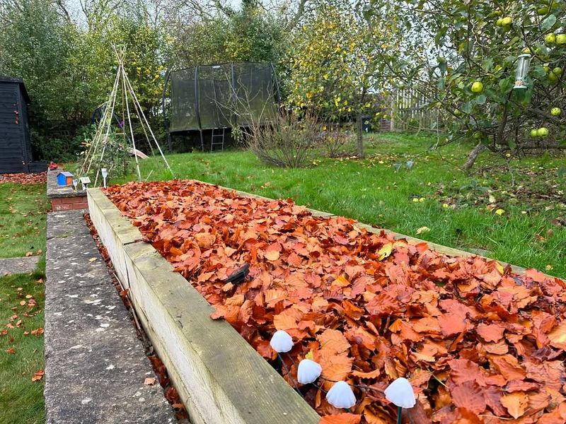 Moisten Leaves Thoroughly Before Storing Them