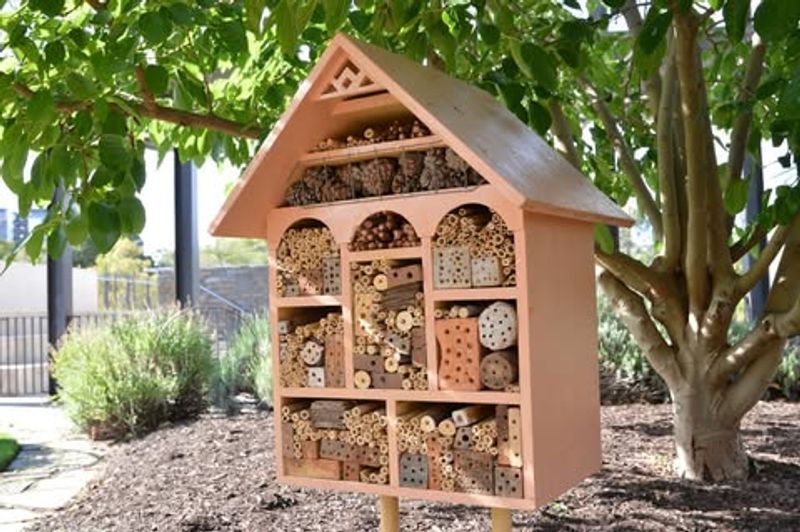 Install Bee Hotels For Solitary Species