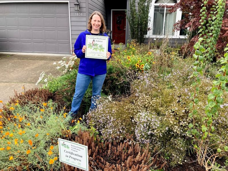 Reduce Lawn Area For Meadow Spaces