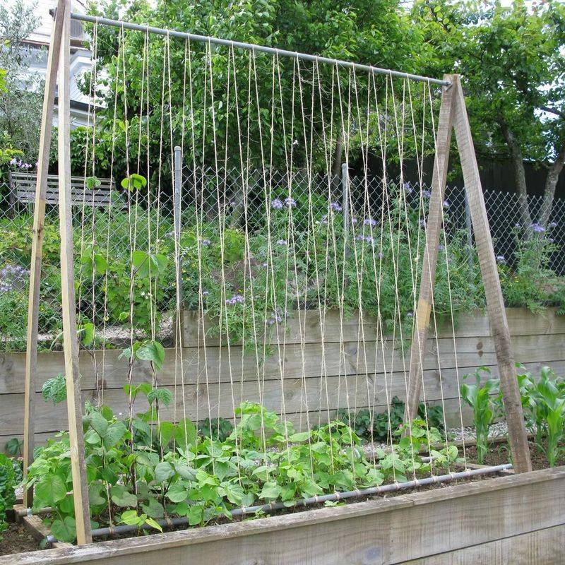 Plan Vertical Growing Structures For Small Spaces