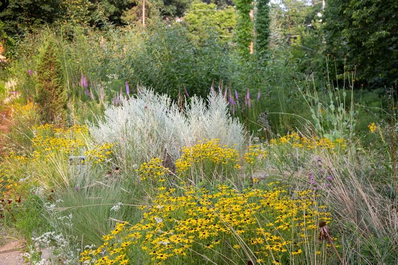 Build Sunny Yellow Garden Spaces