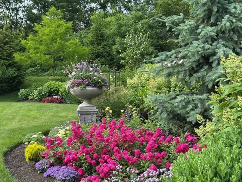 Design Colorful Flower Borders