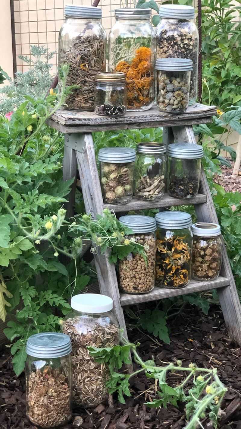 Save and Trade Seeds with Neighbors