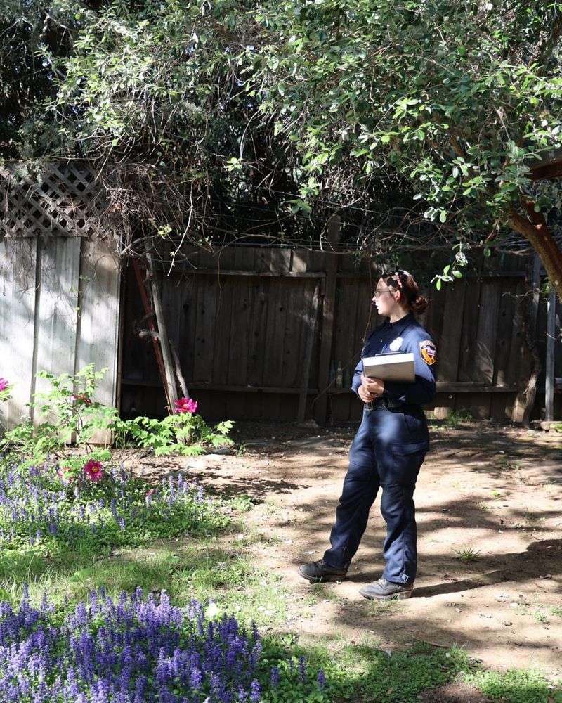 Prepare For Fire Season With Defensible Space