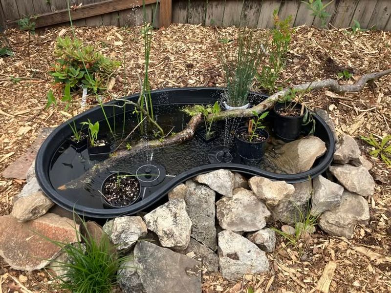 Leave Some Messy Areas Undisturbed