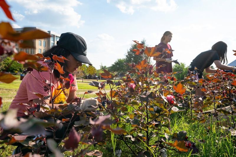 Gardening Provides Screen-Free Relaxation Time