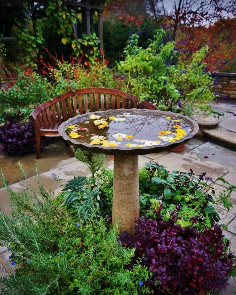 Adding A Simple Water Source