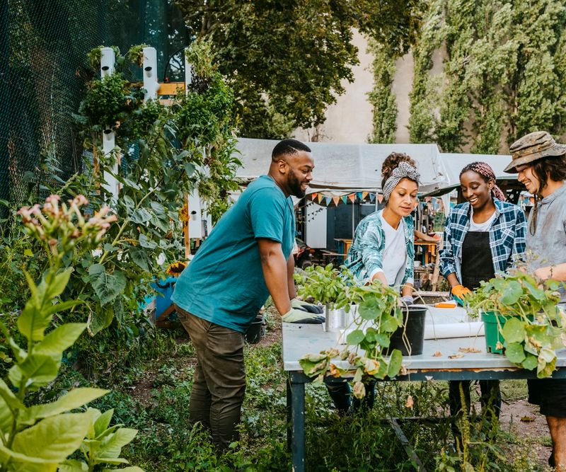 Building Stronger Community Connections Through Gardens