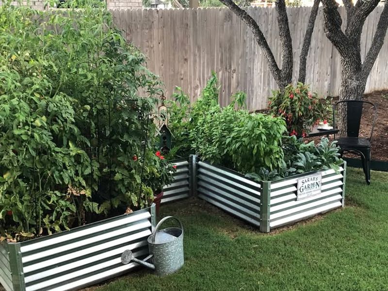 Adding Raised Beds for Better Drainage