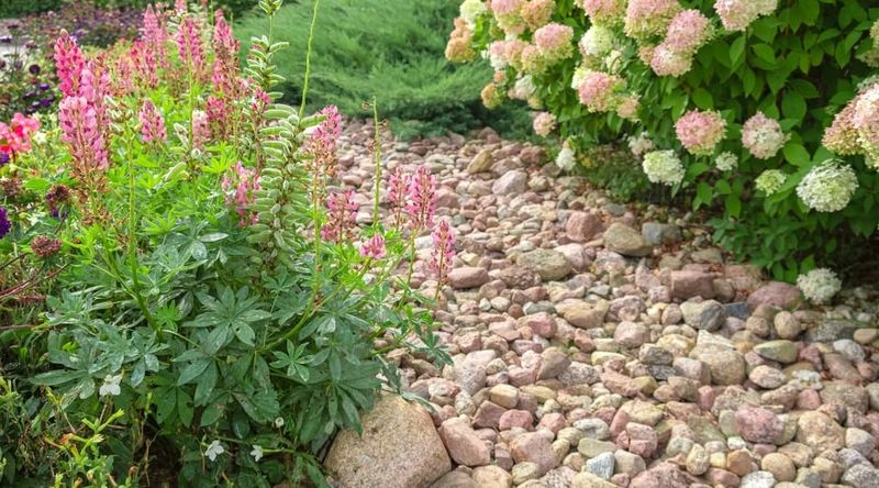 Embers Travel Long Distances