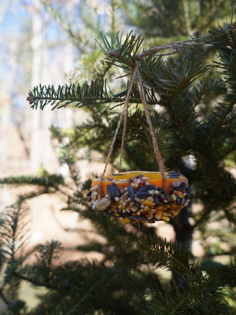 How Zero Waste Decor Supports Local Wildlife During Cold Months