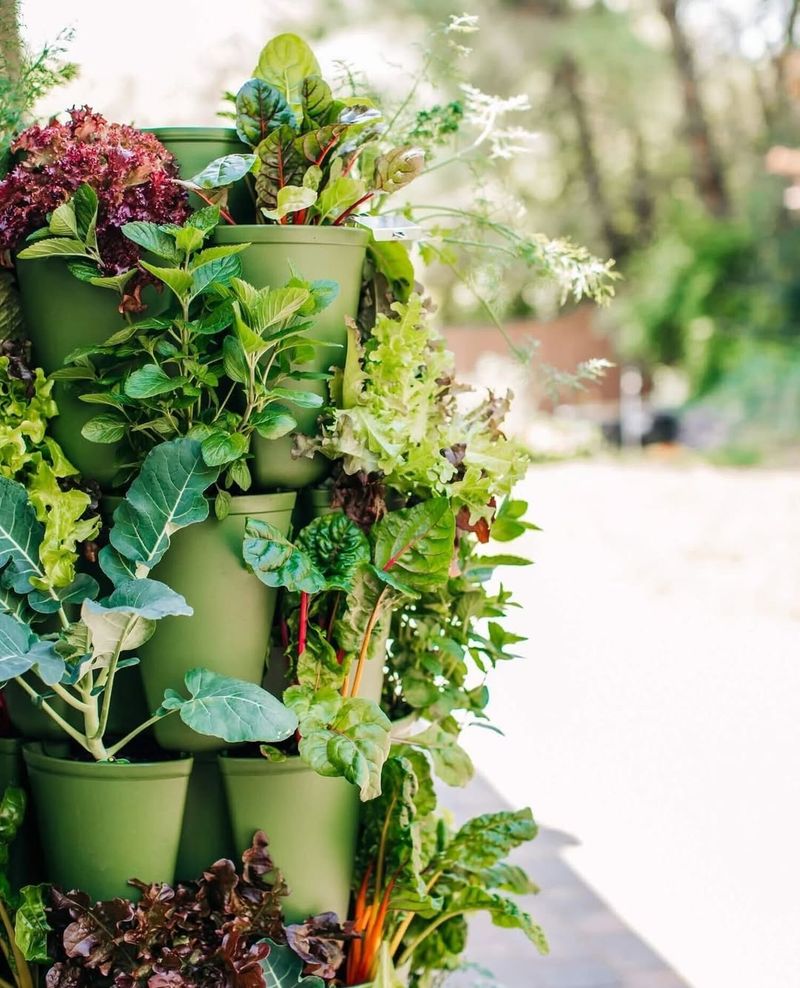 Easy Maintenance and Care Requirements