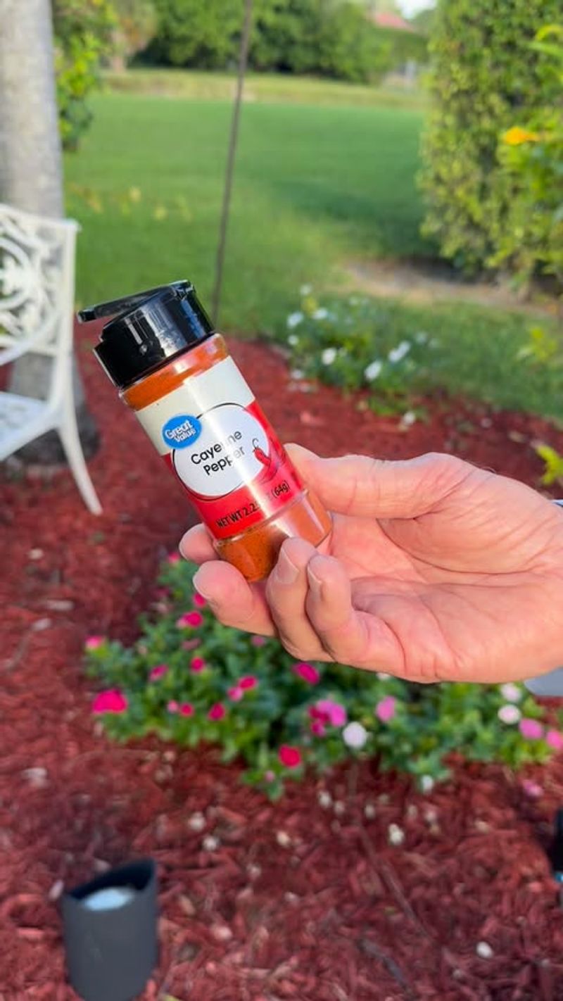 Applying Cayenne Pepper and Garlic Spray Deterrents
