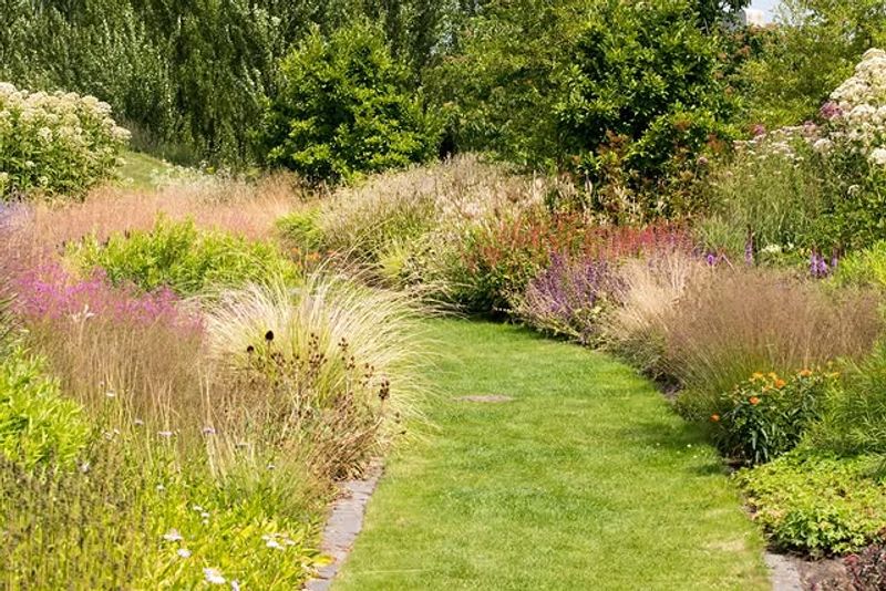 Accepting A More Natural Garden Look