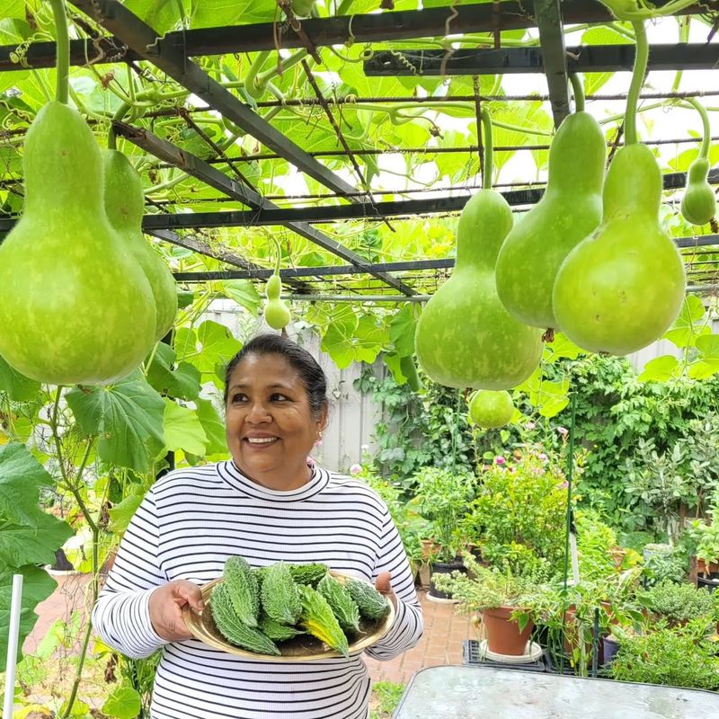 Ending The Weekend Lawn Care Grind