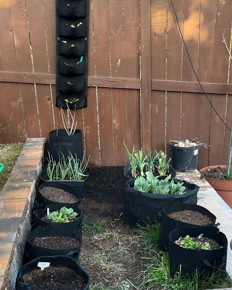 Food Production Stays Possible Year-Round