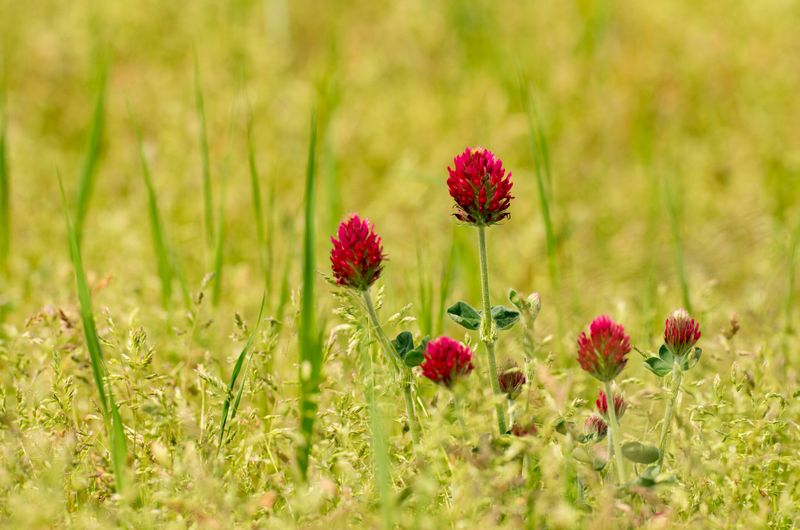 Perfect Timing For Late Winter Planting