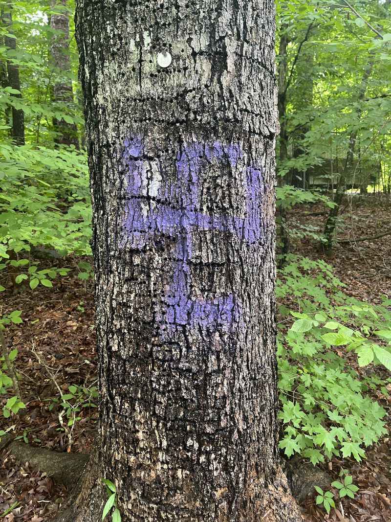 The Marks Replace Signs That Can Be Removed