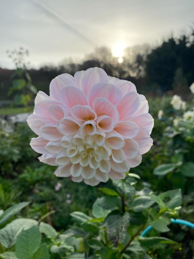Windy Corners And Exposed Hilltops