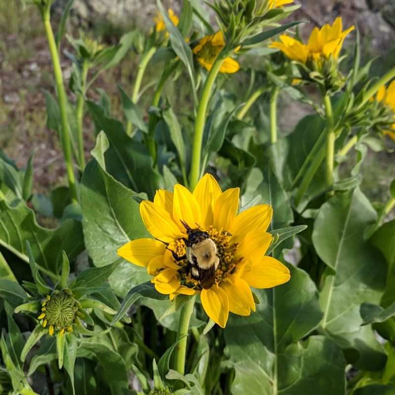 Community Building Brings Neighbors Together