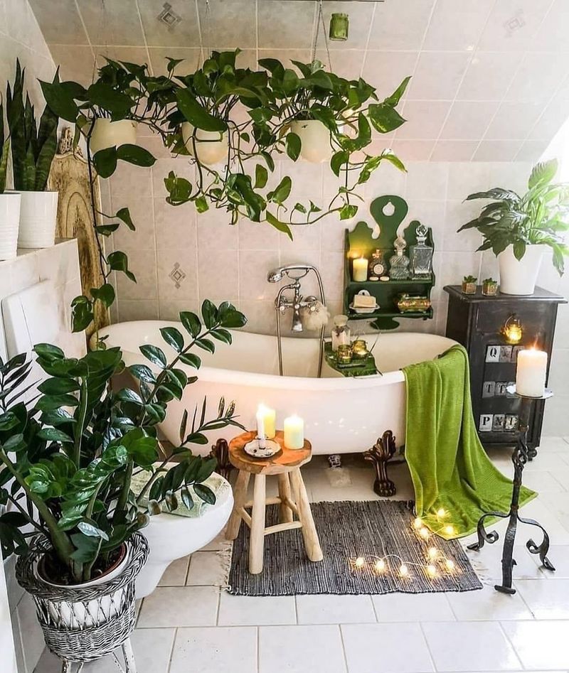 Grouping Plants In The Bathtub Oasis