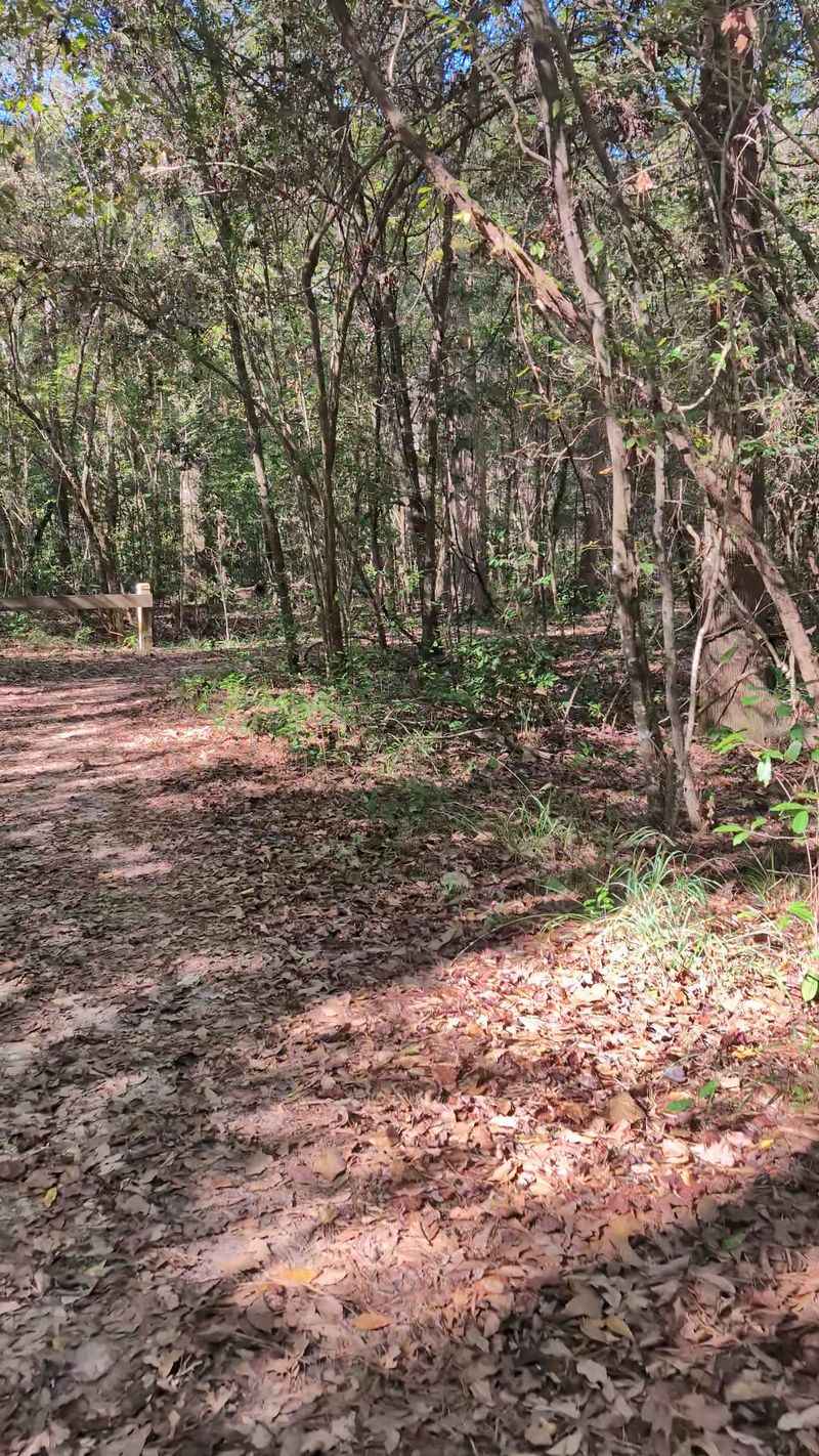 Big Thicket National Preserve