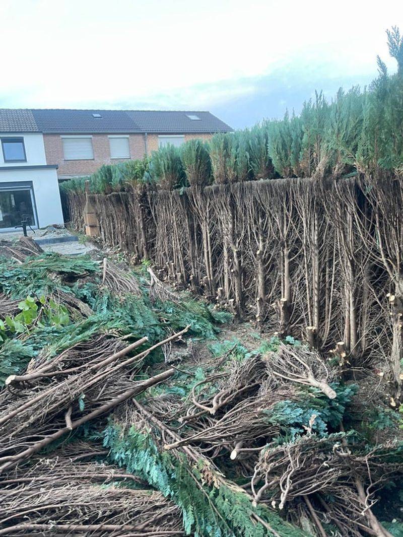 Damage Claims Require Proof