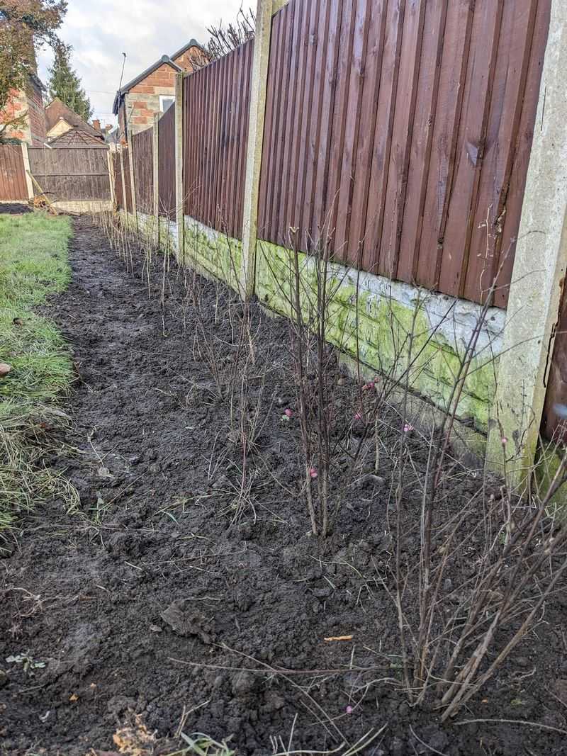 Mediation Offers A Middle Ground