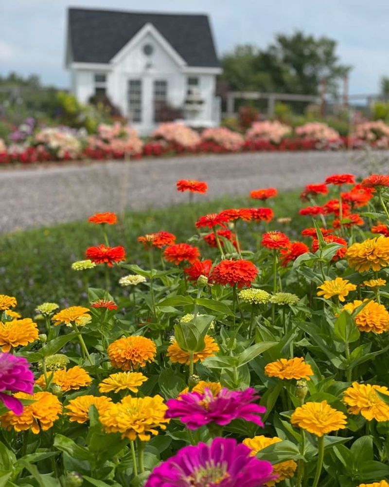 Making Notes About What Worked And What Did Not