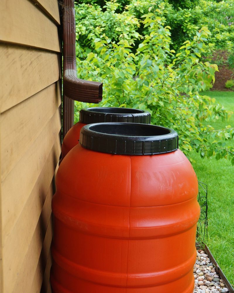 Rainwater Harvesting Provides Free Irrigation