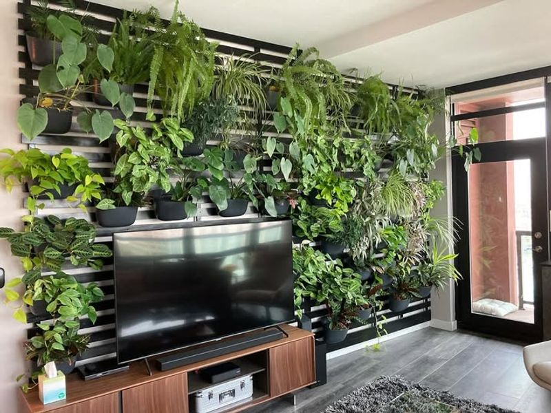 Hanging Plant Shelves
