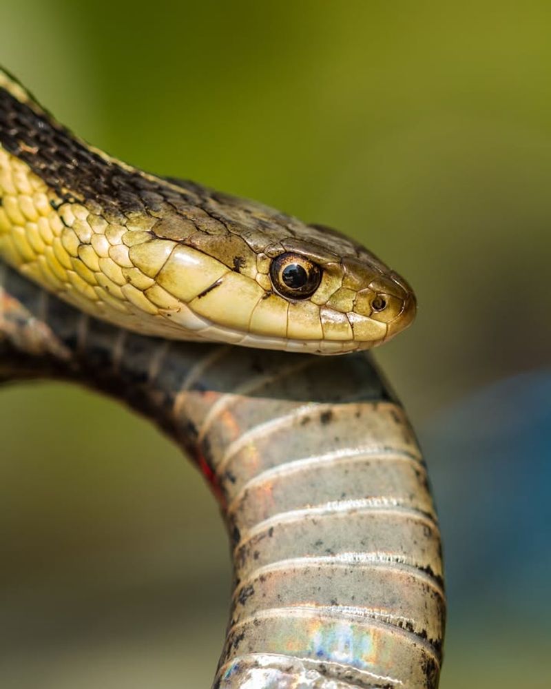 Unusual Patterns In Dusty Areas