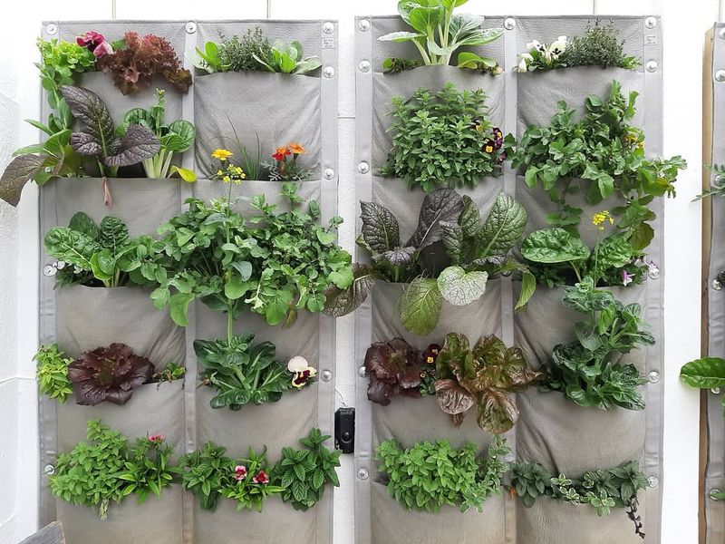 Small Spaces Find Big Solutions With Vertical Gardening