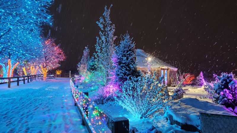 Chatfield Farms Native Garden