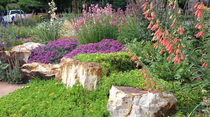 Mulched Garden Beds With Perennials