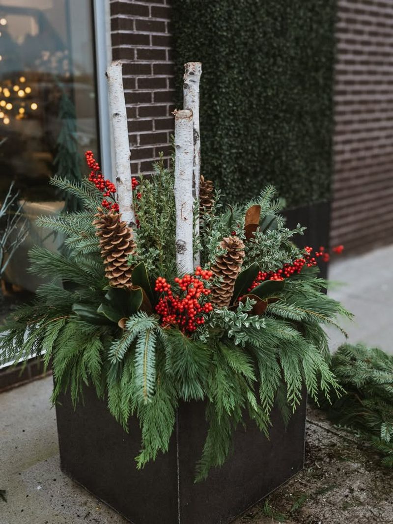 Arranging Evergreen Branch Bundles In Outdoor Planters
