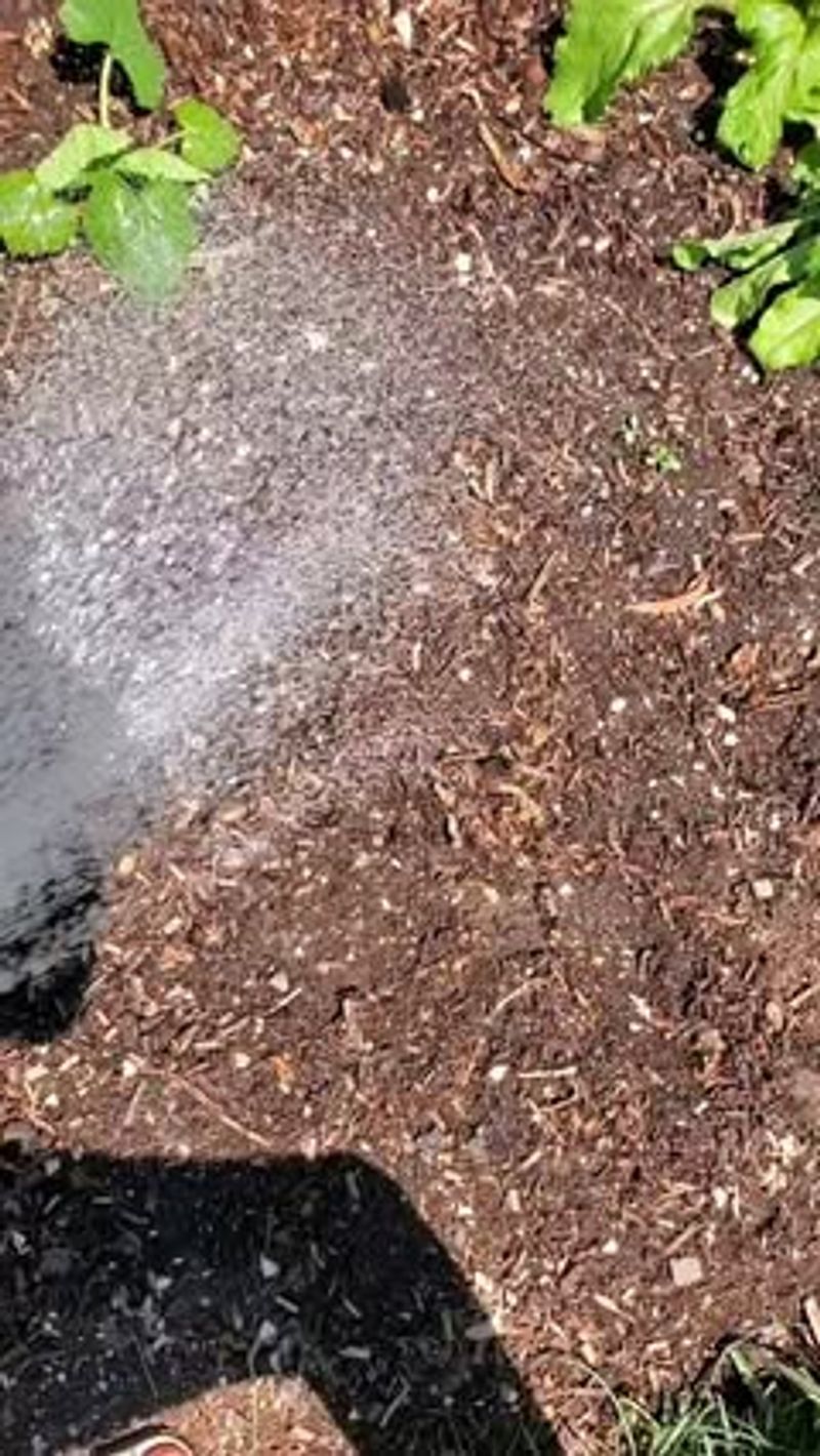 Improves Soil Structure