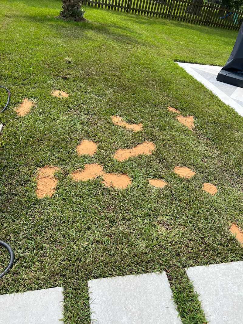 Eliminates Dog Urine Spots